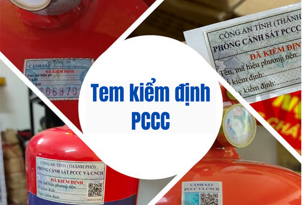 tem-kiem-dinh-PCCC